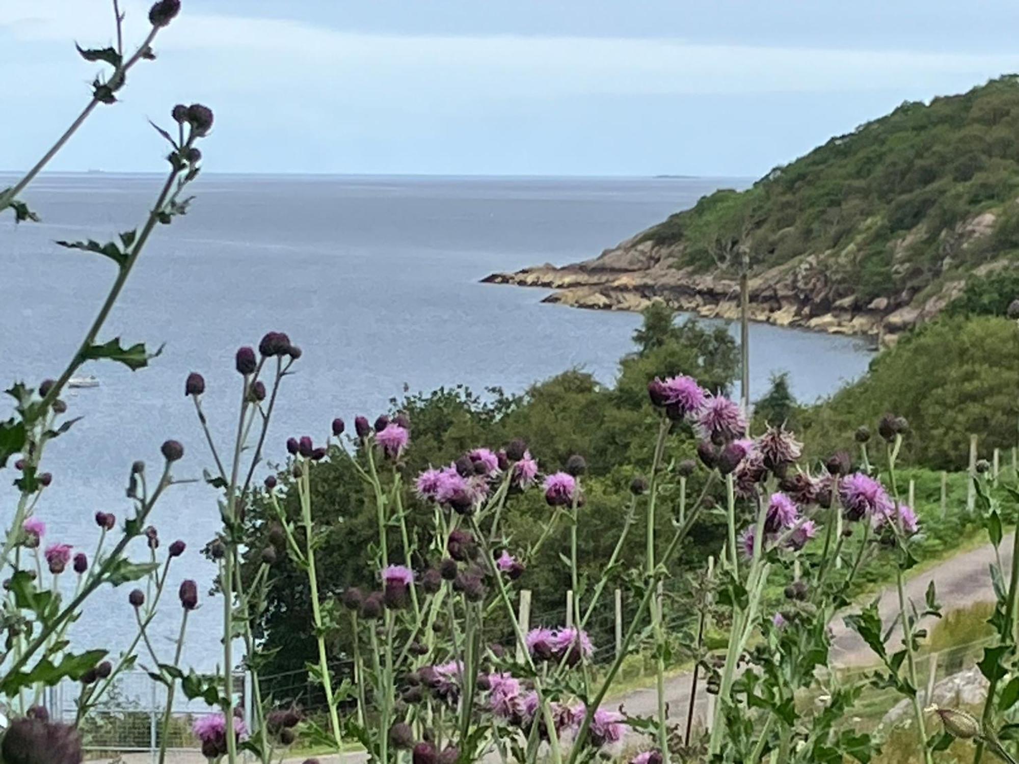 Waterfront Cottage Applecross Peninsula Ardheslaig Exterior photo